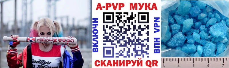 A PVP СК Новоалександровск