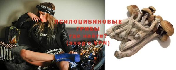не бодяженный Абаза