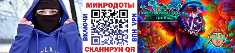 Галлюциногенные грибы Cubensis  даркнет наркотические препараты  Новоалександровск 