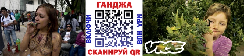 Бошки марихуана план  Новоалександровск 